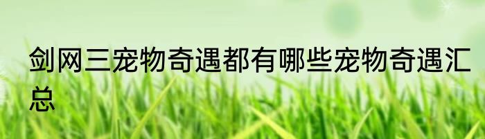 剑网三宠物奇遇都有哪些宠物奇遇汇总