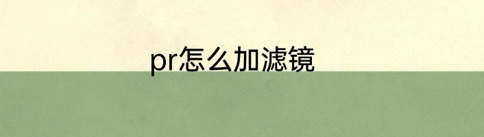 pr怎么加滤镜