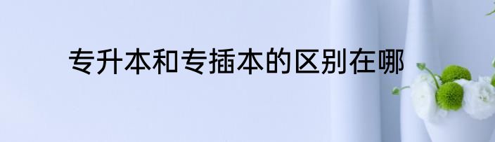 专升本和专插本的区别在哪