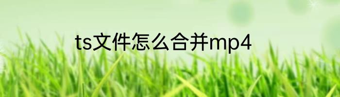 ts文件怎么合并mp4