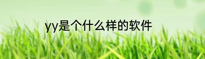 yy是个什么样的软件