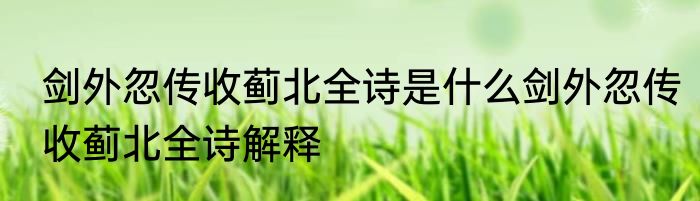 剑外忽传收蓟北全诗是什么剑外忽传收蓟北全诗解释