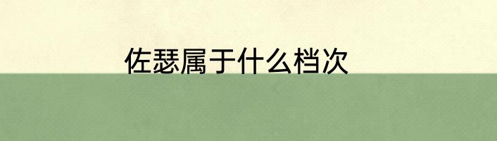 佐瑟属于什么档次