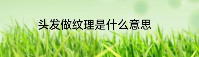 头发做纹理是什么意思