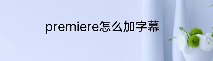 premiere怎么加字幕