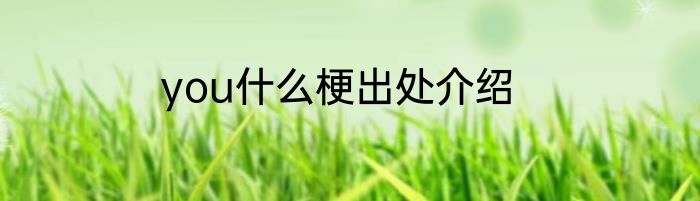 you什么梗出处介绍