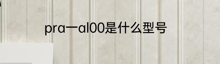 pra一al00是什么型号