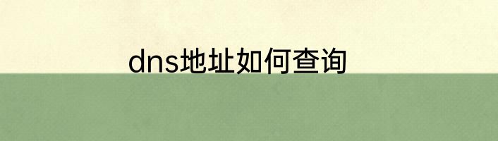 dns地址如何查询