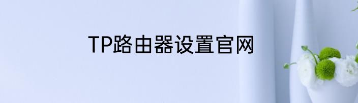 TP路由器设置官网