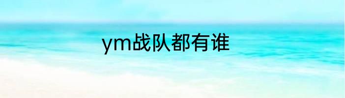 ym战队都有谁