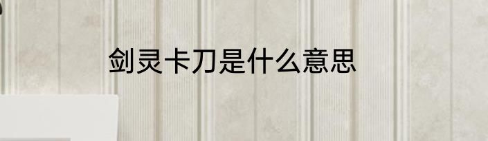 剑灵卡刀是什么意思