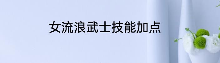 女流浪武士技能加点