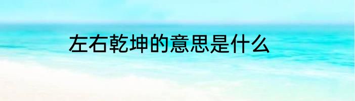 左右乾坤的意思是什么