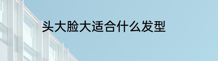 头大脸大适合什么发型