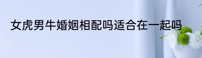 女虎男牛婚姻相配吗适合在一起吗