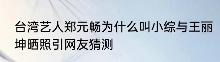 台湾艺人郑元畅为什么叫小综与王丽坤晒照引网友猜测