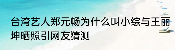 台湾艺人郑元畅为什么叫小综与王丽坤晒照引网友猜测