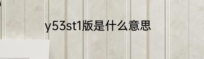 y53st1版是什么意思