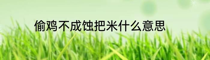 偷鸡不成蚀把米什么意思