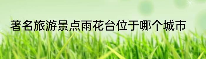 著名旅游景点雨花台位于哪个城市
