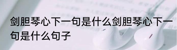 剑胆琴心下一句是什么剑胆琴心下一句是什么句子