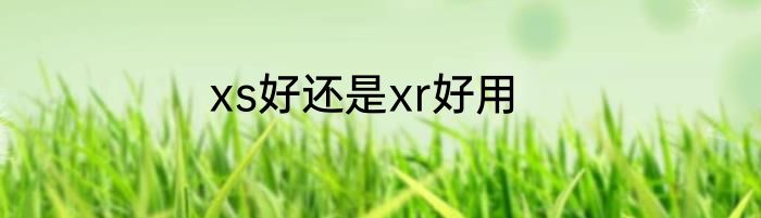xs好还是xr好用