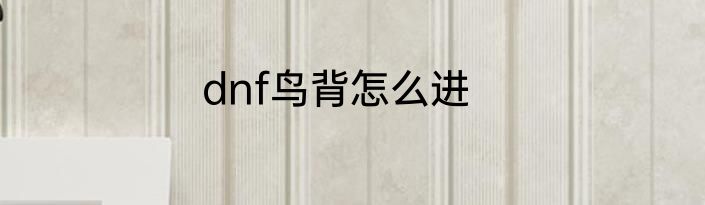 dnf鸟背怎么进