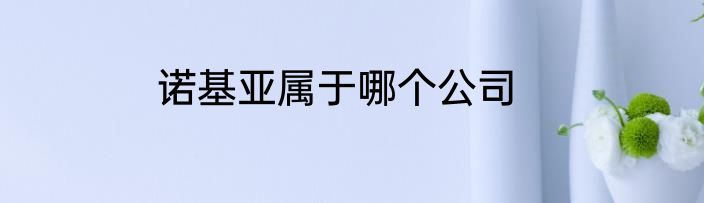 诺基亚属于哪个公司