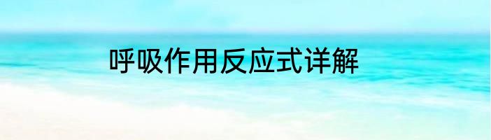 呼吸作用反应式详解