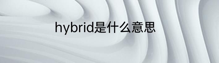 hybrid是什么意思
