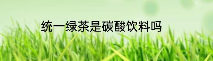 统一绿茶是碳酸饮料吗