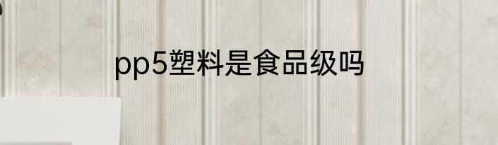 pp5塑料是食品级吗
