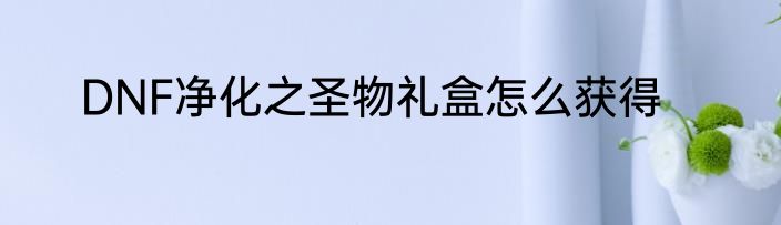 DNF净化之圣物礼盒怎么获得