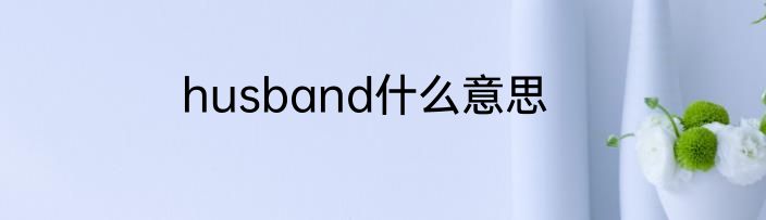 husband什么意思