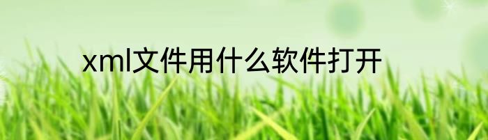xml文件用什么软件打开