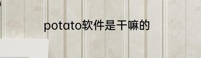 potato软件是干嘛的