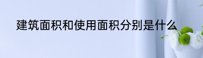 建筑面积和使用面积分别是什么