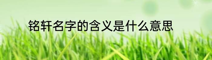 铭轩名字的含义是什么意思
