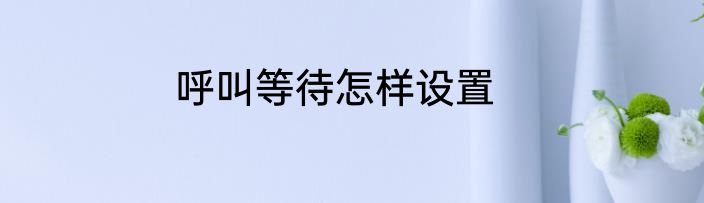 呼叫等待怎样设置