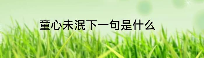 童心未泯下一句是什么