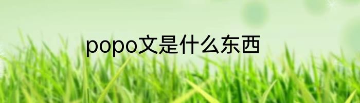 popo文是什么东西