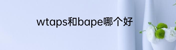 wtaps和bape哪个好