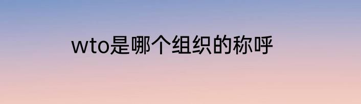 wto是哪个组织的称呼