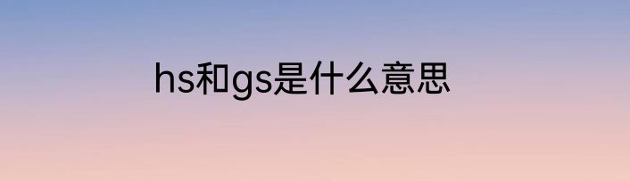hs和gs是什么意思