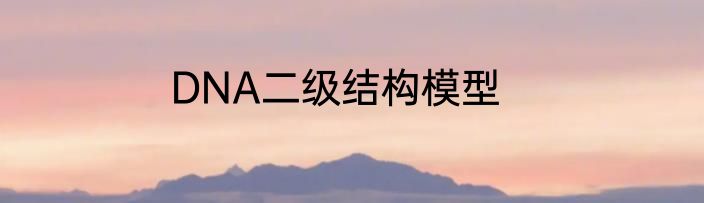 wrong的四种用法