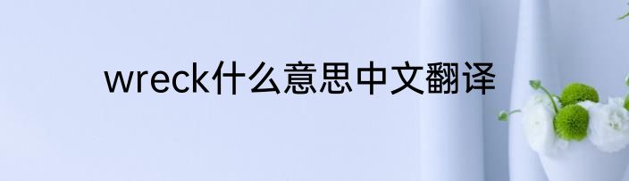 wreck什么意思中文翻译