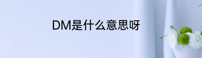 DM是什么意思呀