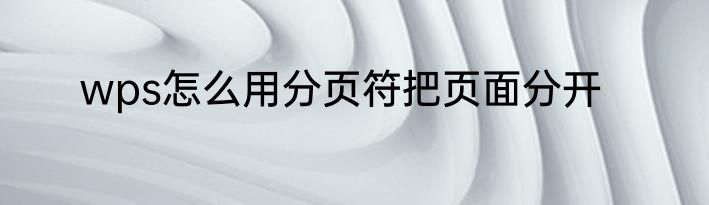 wps怎么用分页符把页面分开
