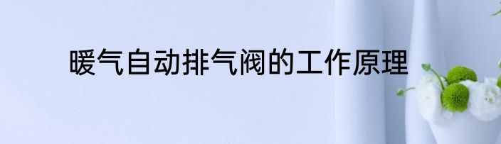 暖气自动排气阀的工作原理
