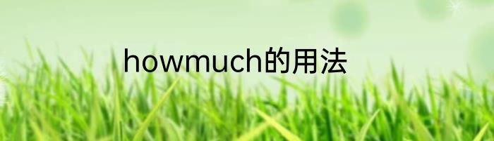 howmuch的用法